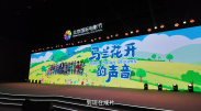 91在线播放免费不卡无毒